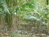 diegodeocampo - 10